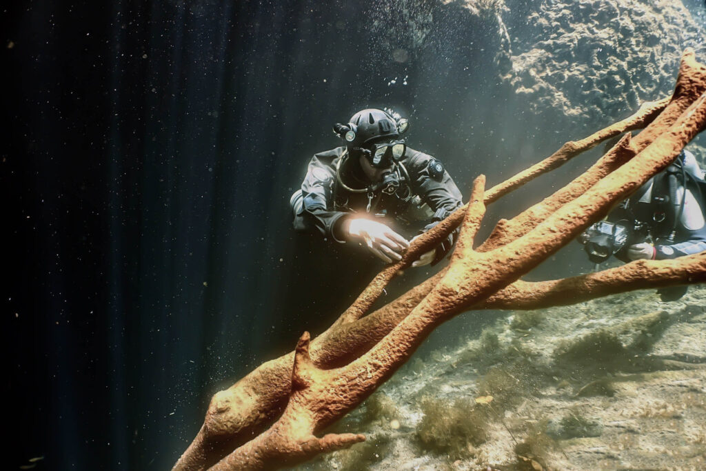 luke_divewalker_lukasz_metrycki_underwaterphotography_cenotes_carwash