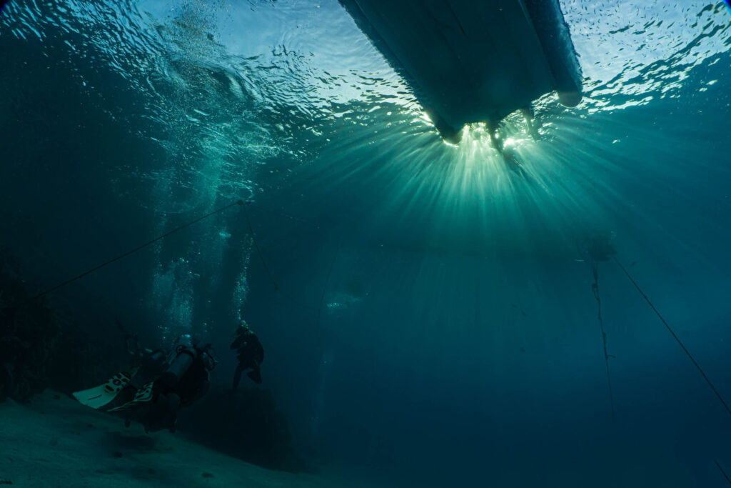 luke_divewalker_lukasz_metrycki_underwaterphotography_shagra